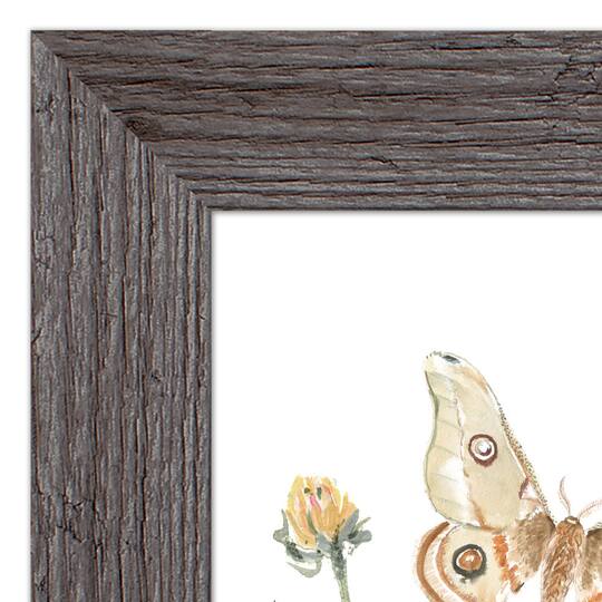 Butterfly Garden Western Framed Print